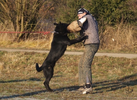 The christmas training 27.12.2006